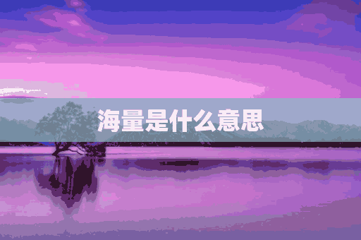 海量是什么意思